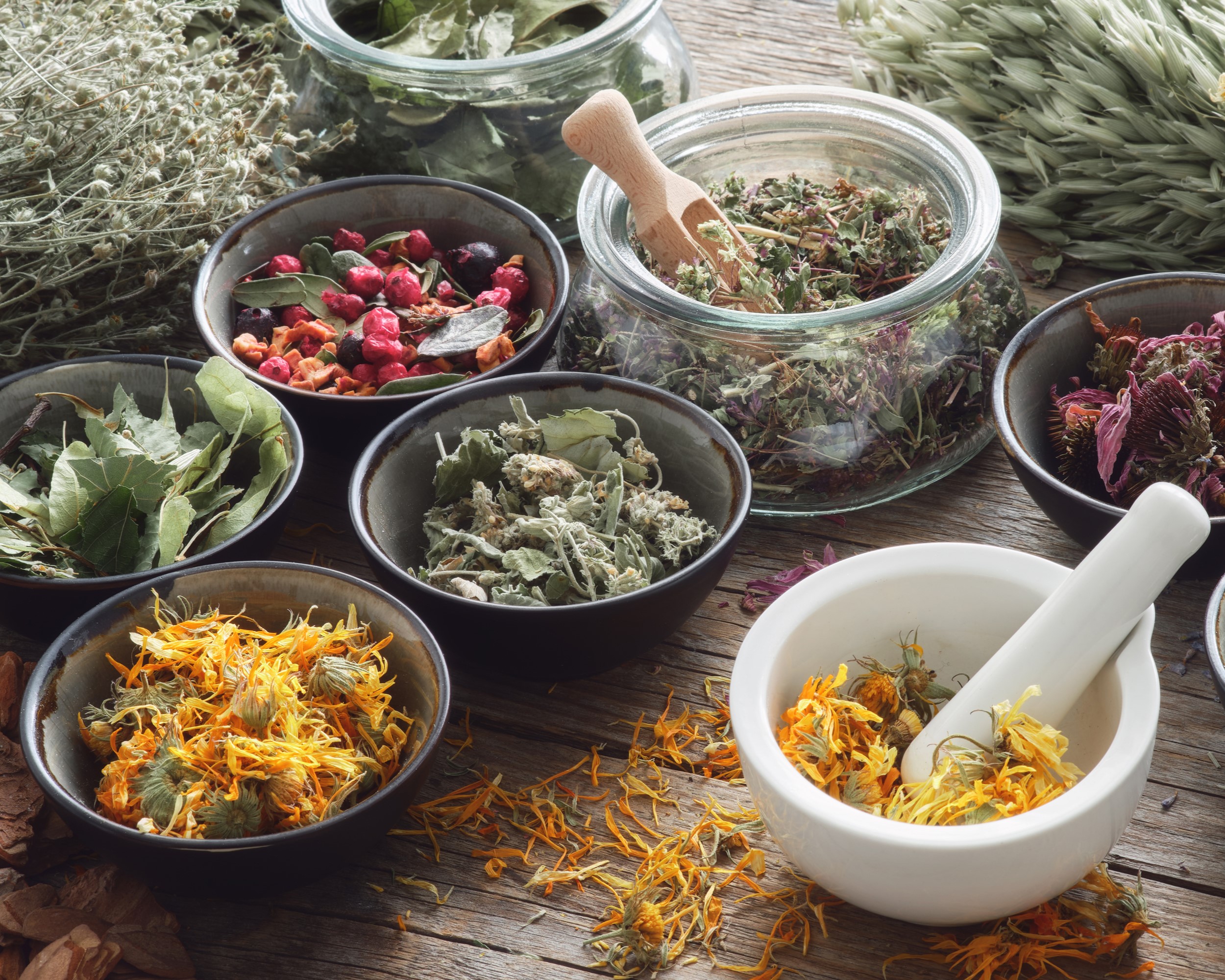 Health & Wellness